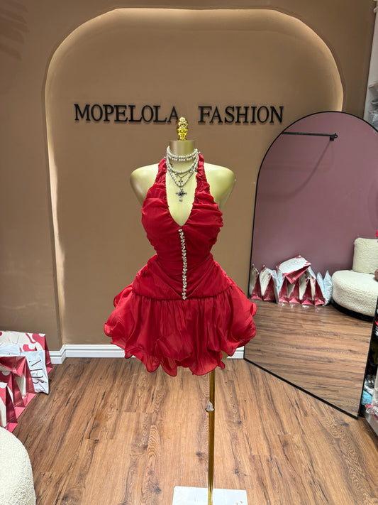 Chic Ella dress