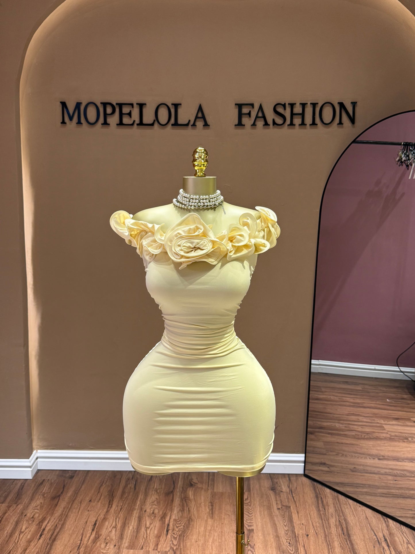 Dress and mesh skirt