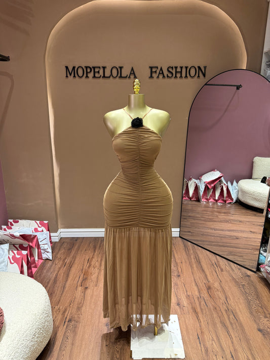 Luxe Mesh Dress