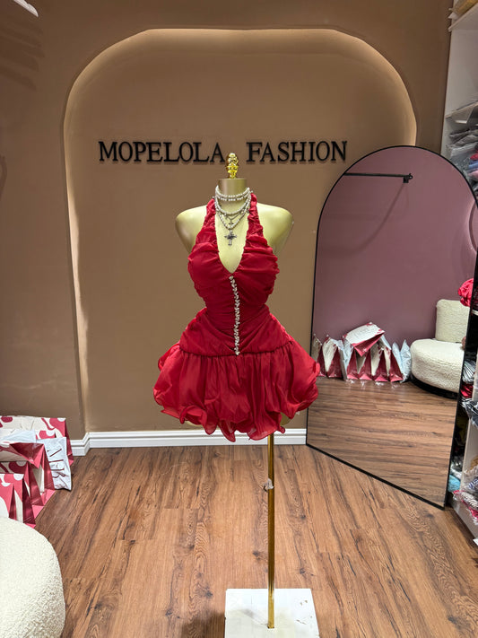 Chic Ella dress