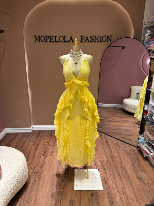 Luxe Vibrant dress