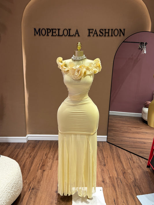 Dress and mesh skirt