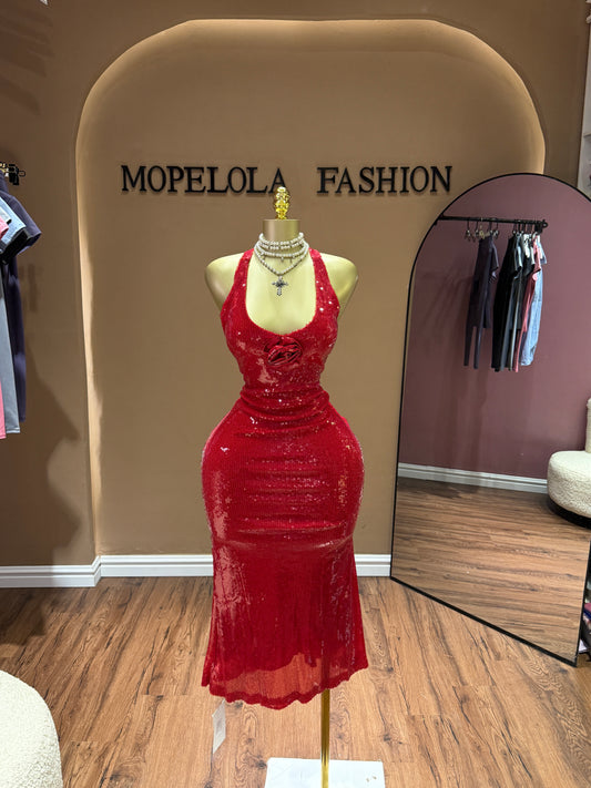 Luxe sequence Dress